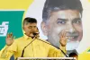 TDP Chandrababu : డూ ఆర్ డై లా చంద్రబాబు