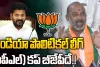 BJP IPL : బీజేపీదే ఐపీఎల్...