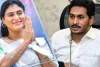 AP Vote : మీ ఓటు ఎవరికి...
