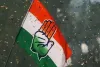 Congress : కాంగ్రెస్ సర్కార్ లెక్క ఇది