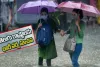 Rain Alert : తెలంగాణ, ఏపీలో భారీ వర్ష సూచన.. ఈ జిల్లాల్లో దంచికొట్టనున్న వానలు