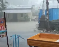 దంచి కొడుతున్న వానలు