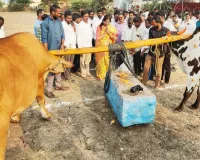 కేశంపేట మండలంలోని అల్వాల గ్రామంలో మహాశివరాత్రి సందర్భంగా బండలాగుడు పోటీలు