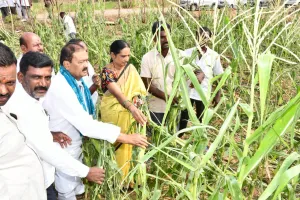 Telangana I పంట నష్టపోయిన రైతులను ప్రభుత్వం ఆదుకుంటుంది