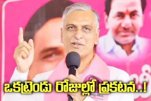Medak BRS MP Candidate I మెదక్ ఎంపీ పోటీపై హరీష్ రావు క్లారిటీ ఇచ్చారు
