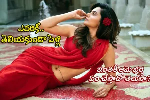 Taapsee Pannu Marriage : ఎవరికీ తెలియకుండా పెళ్లి...