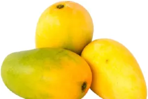 Mangoes In Fridge : మామిడి పండ్లను ఫ్రిజ్‌లో పెట్టి తినవచ్చా?