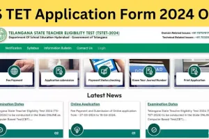 TS TET 2024 Updates : తెలంగాణ టెట్ అభ్యర్థులకు అలర్ట్... వెబ్‌సైట్‌లో ఆ ‘ఆప్షన్’ వచ్చేసింది..!