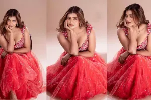 Hebah Patel : భారీ స్తనాల అందాలను బయటపెట్టిన హెబ్బా.. కుమారి కిక్!!