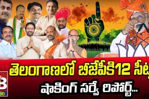 BJP : బీజేపీ 12 సీట్లు గెలవబోతుంది..