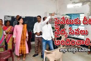 ప్రైవేటుకు దీటుగా వైద్య సేవలు అందించాలి.. 