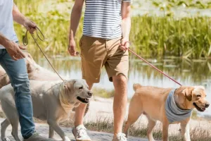 పెంపుడు కుక్క వివాదం.. కుటుంబ సభ్యులకు తీవ్ర గాయాలు