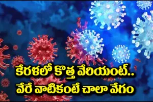 కేరళలో విజృంభిస్తున్న హెపటైటిస్ ఎ వైరస్