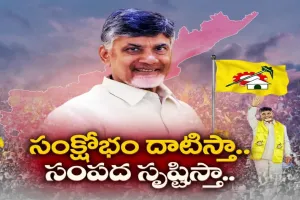 Tdp : చంద్రబాబుకు ఆర్ధిక సవాళ్లు
