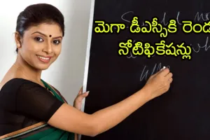 30న డీఎస్సీ నోటిఫికేషన్