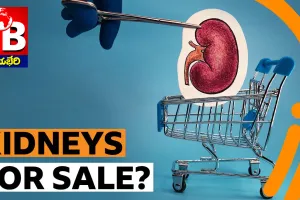 కిడ్నీస్... ఫర్ సేల్....